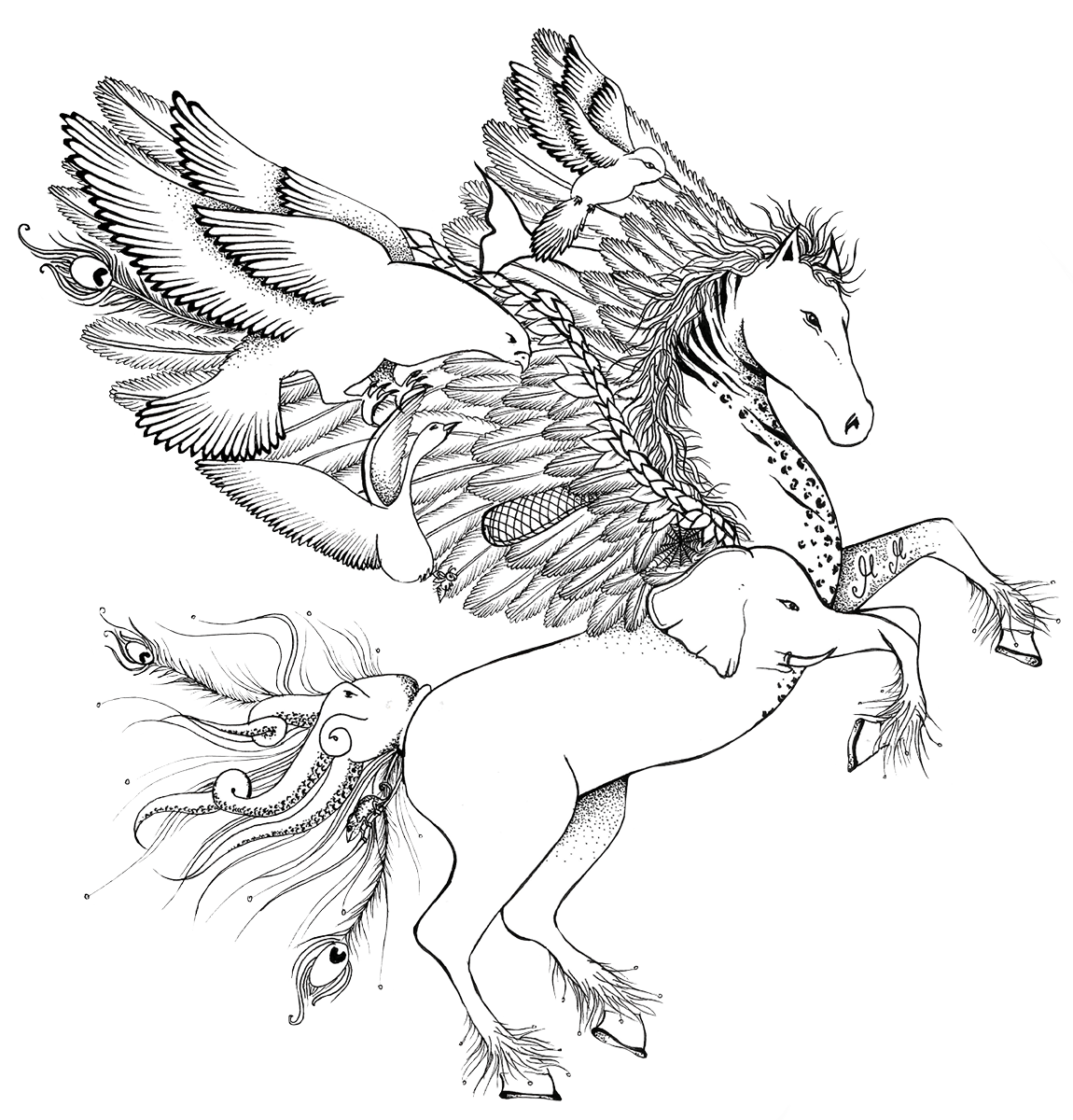 Pegasus Image Drawing » bsk