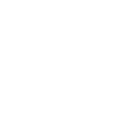 Revitalisierung » bsk