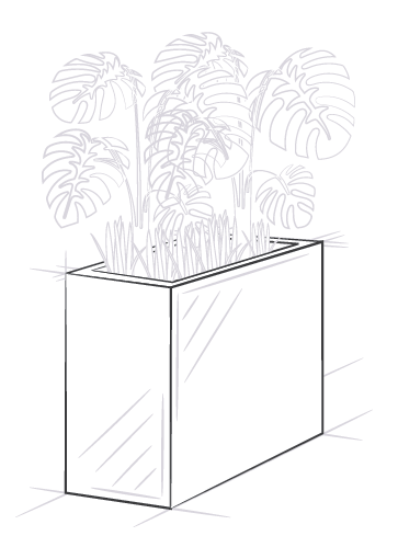 bsk-illustration-pflanzen